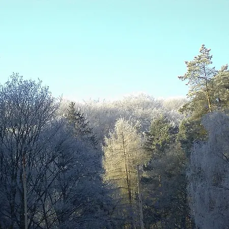Waldgaststaette Sennhuette Bad Frankenhausen