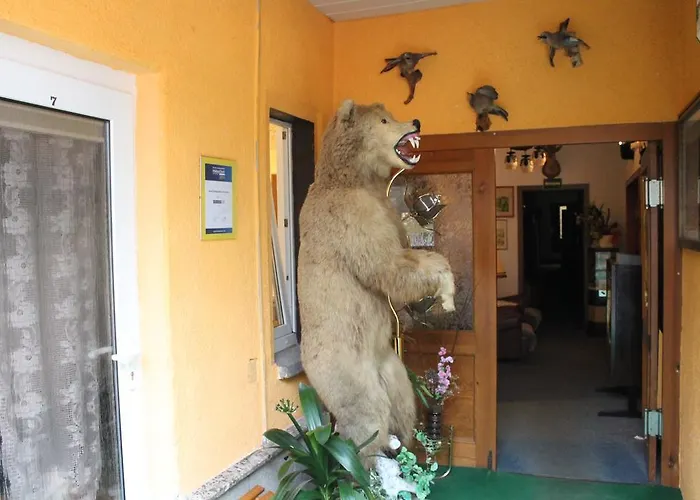 Waldgaststaette Sennhuette 3* Bad Frankenhausen