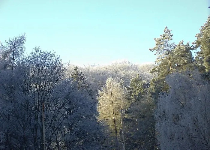Waldgaststaette Sennhuette Bad Frankenhausen
